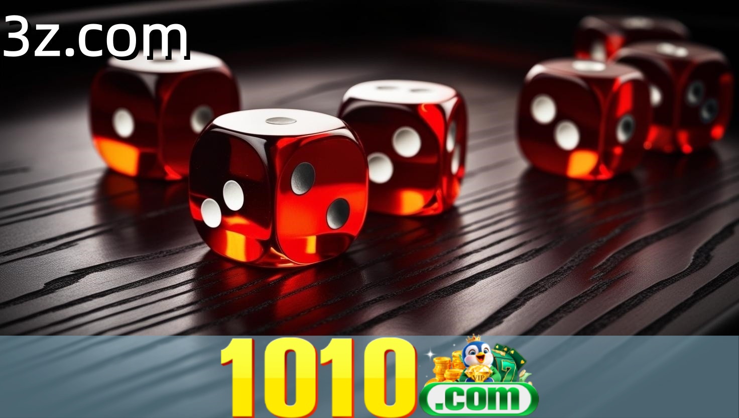 Flash Promotion 1010